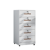 Hot Selling Metal Cabinet Under Desk Cabinet Office File Cabinet Five Drawers Multi Color