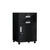 Hot Selling low price multiple colors office cabinet with two drawer password lock file cabinet with wheels