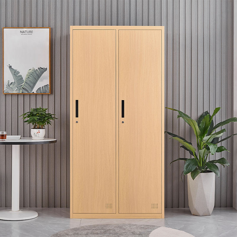 Hot sale Space Saving 2 doors metal sports beach wardrobe locker Wood Like Cabinet
