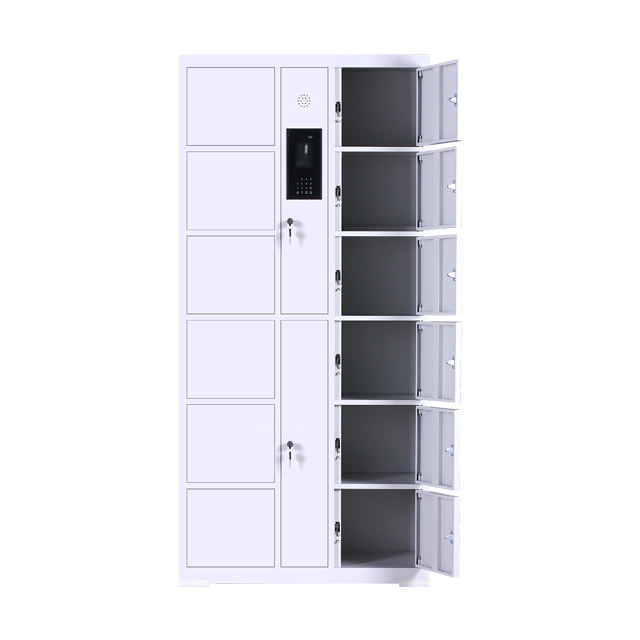 Smart Electronic Locker System Gym Electronic Lockers 12 Doors
