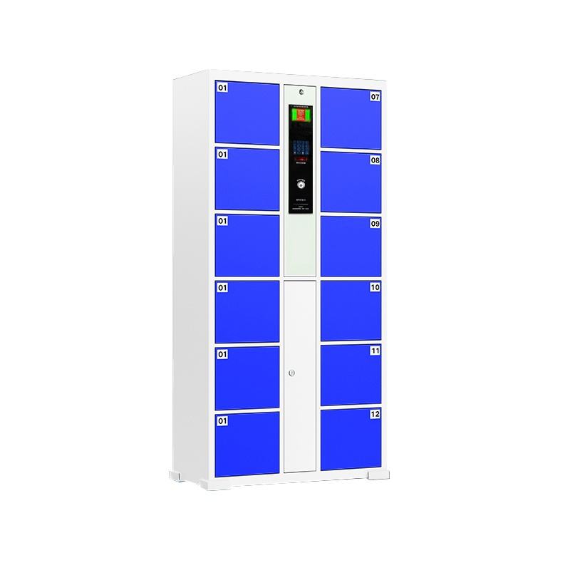 12 door metal electronic smart digital fingerprint locker, intelligent parcel delivery cabinet, safe storage staff locker