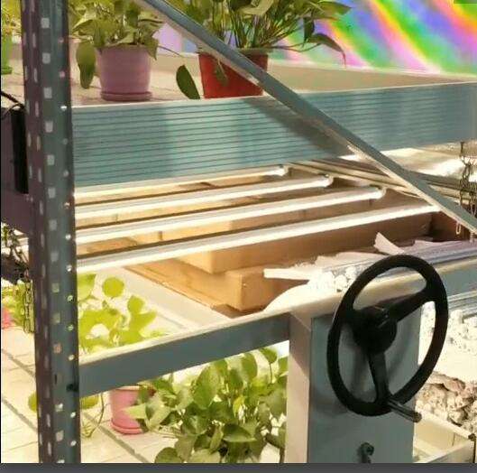 Customized Steel Plant Growing System Indoor Rack Movable Vertical Multi Layers Greenhouse s