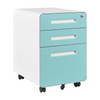 Movable Cabinet