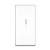 2 door metal vertical filing cabinet for office and school, steel storage filing closet, high quality documents storage cabinet