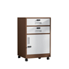 Hot Selling low price multiple colors office cabinet with two drawer password lock file cabinet with wheels