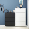 customized furniture shoe cabinet steel cabinet shoe shoes cabinet nordic scarpiera