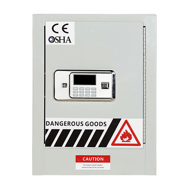 30 Gallon Highly Toxic Chemical Dangerous Goods Safety Cabinet Steel Medical Hazardous Cabinet