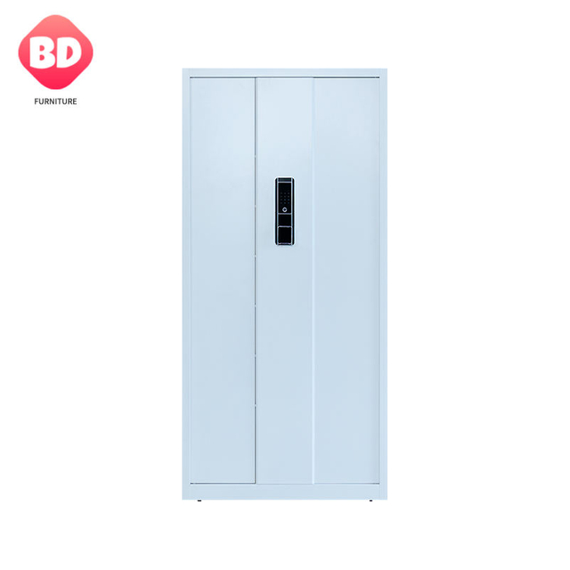 Full-body security file cabinet, two-color optional, with password lock