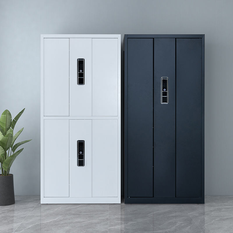 Full-body security file cabinet, two-color optional, with password lock