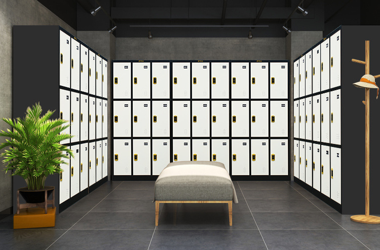 lockers gym 6 door new design color locker steel storage locker metal wardrobe for gym and office