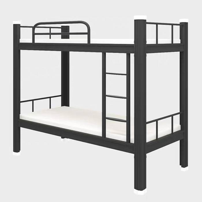 Bunk bed hostel double bunk adult loft lit superposer lits enfant superpose