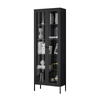 Double door glass door tall bookshelf storage metal cabinet