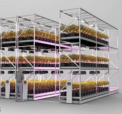 Customized Steel Plant Growing System Indoor Rack Movable Vertical Multi Layers Greenhouse s