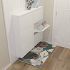 Metal cabinet style shoe rack shoe cabinet luxury shoe cabinet with shelves scarpiera