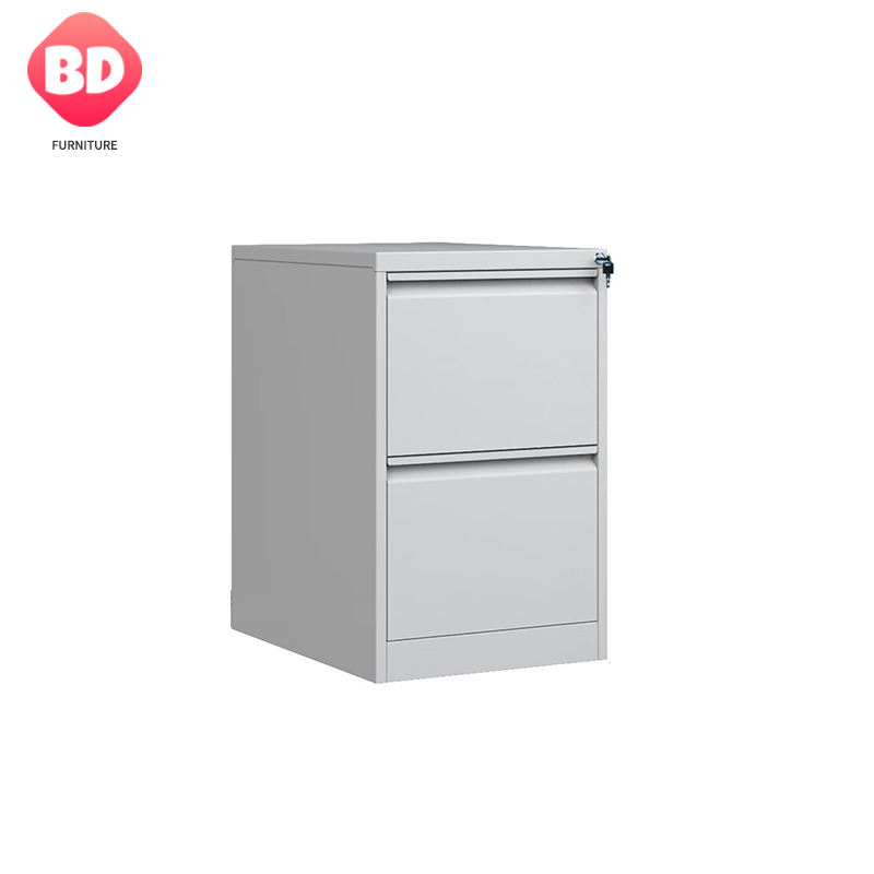 2 Drawer Vertical File Cabinets A4 Functional Metal 2 Drawer File Cabinet