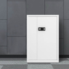 Double Door Lock Fingerprint Password Security Safe Strongbox