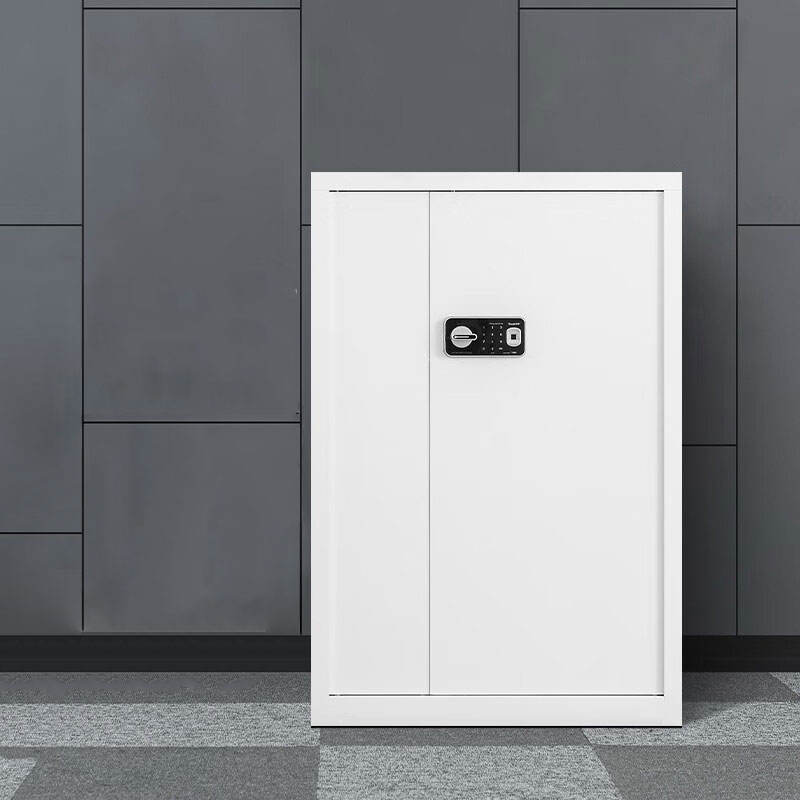 Double Door Lock Fingerprint Password Security Safe Strongbox