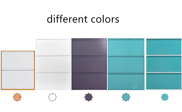 Modern shoe cabinet living room Top Sale Cheap And Hot Storage cabinet Metal door Shoe Cabinet/Shoe shelf/Shoe Rack
