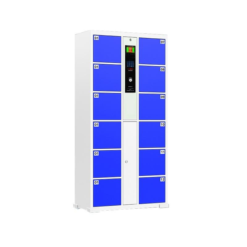 12 door metal electronic smart digital fingerprint locker, intelligent parcel delivery cabinet, safe storage staff locker