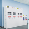 Metal laboratory safety cabinet for dangerous gas,chemical lab gas cylinder safety storage cabinet,flammable storage safetycabin