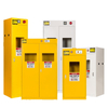 Metal laboratory safety cabinet for dangerous gas,chemical lab gas cylinder safety storage cabinet,flammable storage safetycabin