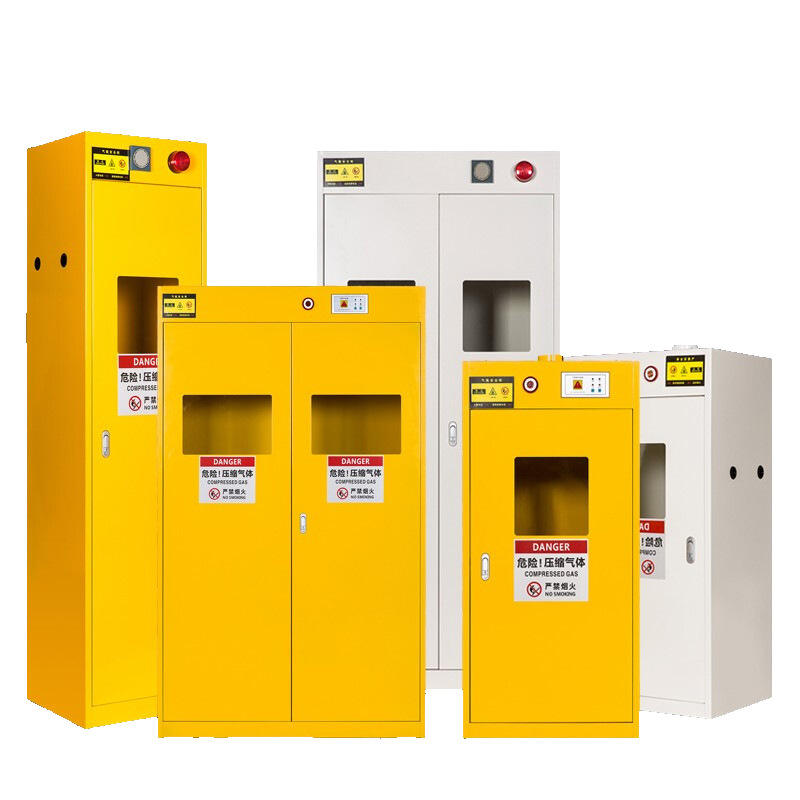 Metal laboratory safety cabinet for dangerous gas,chemical lab gas cylinder safety storage cabinet,flammable storage safetycabin