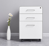 Mobile Office Storage Pedestals 2 Drawer File Cabinet Movable Under Desk Drawer Cabinet